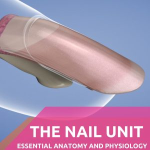 Anatomy and Physiology of the Nail